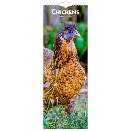 Chickens 2026 5.7x16.5" (Hanging) Monthly Slimline Wall Calendar | BrownTrout