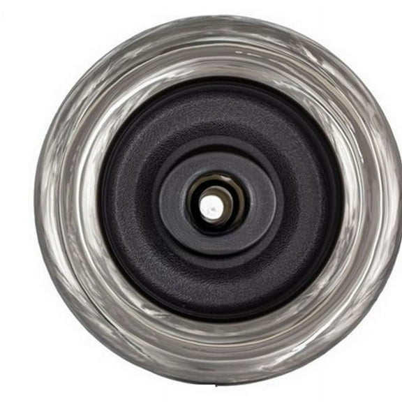 5 in. Life Storm Directional Jet Insert, Stainless Steel