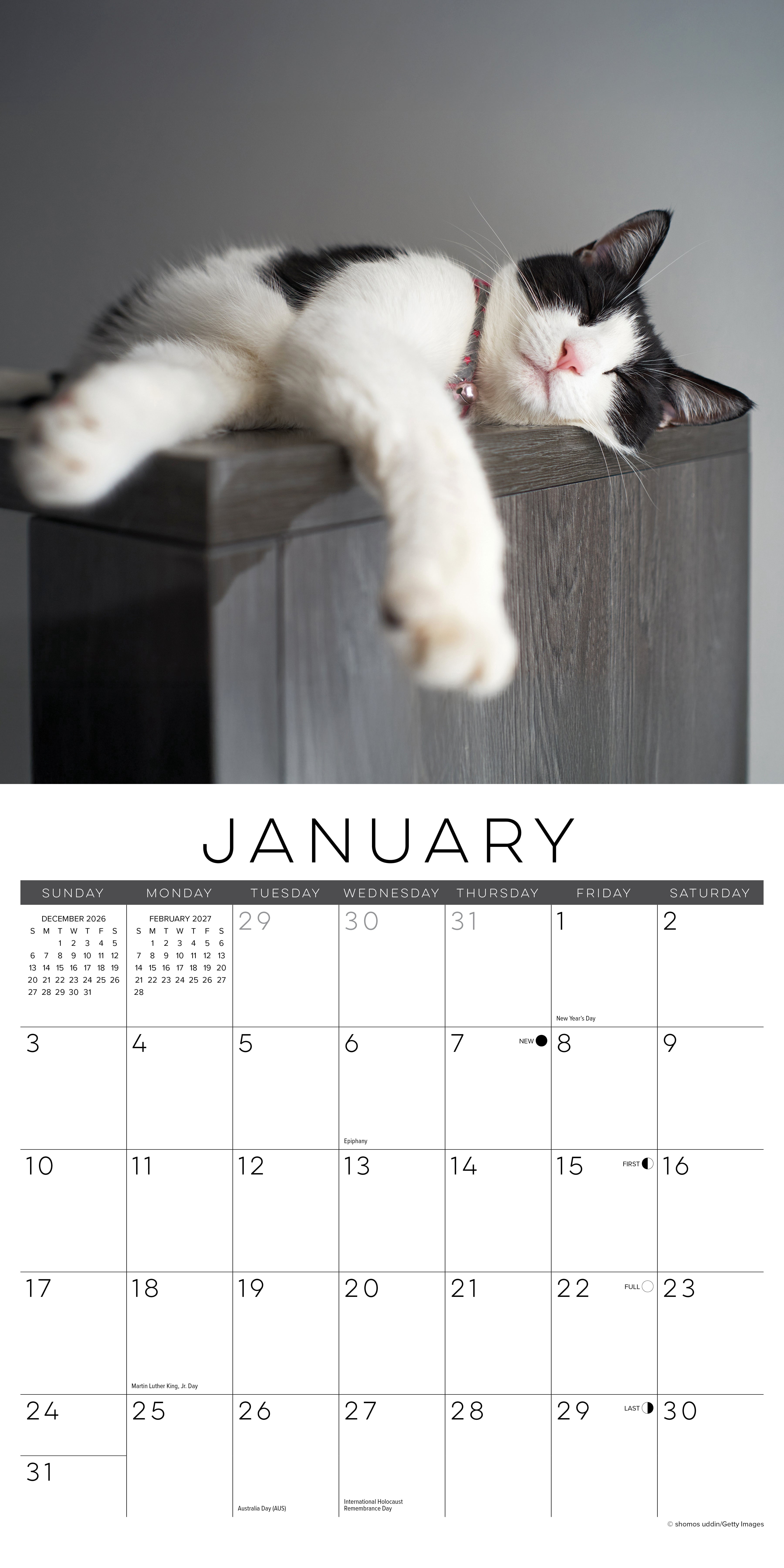 Willow Creek Press, Naptime: A Cat's Favorite Pastime 2027 Wall Calendar