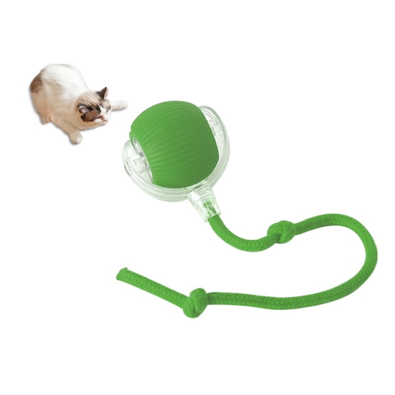 Upgrade Interactive Cat Toys Ball, Motion Activated Electric Rolling Ball Toys for Cats, Super Driver, Led Rainbow Lights, Automatic On/off, Long Tail, Usb Rechargeable, 3 Working Mode