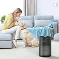 thumbnail image 6 of Fitnate 215 Sq Ft True HEPA Aromatherapy Air Purifier, Black, 6 of 12