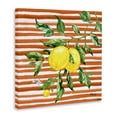 thumbnail image 3 of Stupell Industries Juicy Lemon Vine on Red Canvas Wall Art design by Paul Brent, 36 x 36, 3 of 7