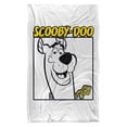 thumbnail image 2 of Scooby Doo Scooby Square Silky Touch Super Soft Throw Blanket 36" x 58", 2 of 6