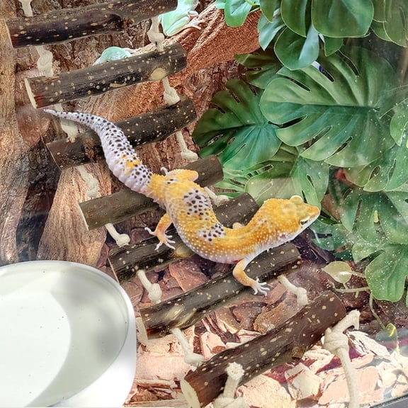 Reptile Bridge Climbing Ladder Wooden Basking Lounger Tank Accessories for Hermit Crab Bearded Dragon Chameleon Lizard (Fruit Wood)