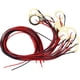 thumbnail image 2 of Disco de Recogida Piezoeléctrica, 20 Mm, Duradero, de bajo Ruido, Fácil de Instalar, 15 Piezas de Transductor de Disco Piezoeléctrico de Alta Sensibilidad para Instrumentos, 2 of 3