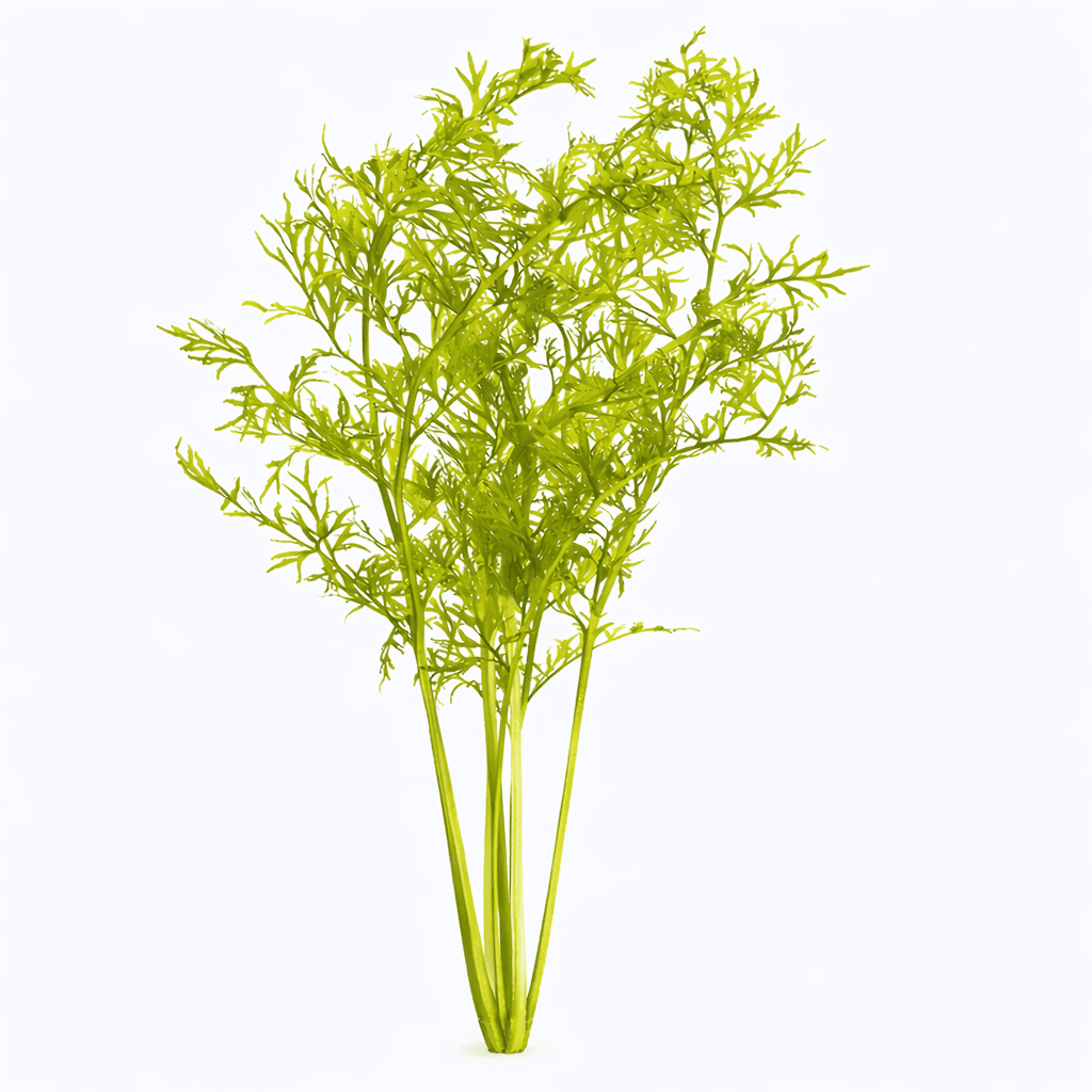 Axolotl Live Plants Bundle (10 Plants)