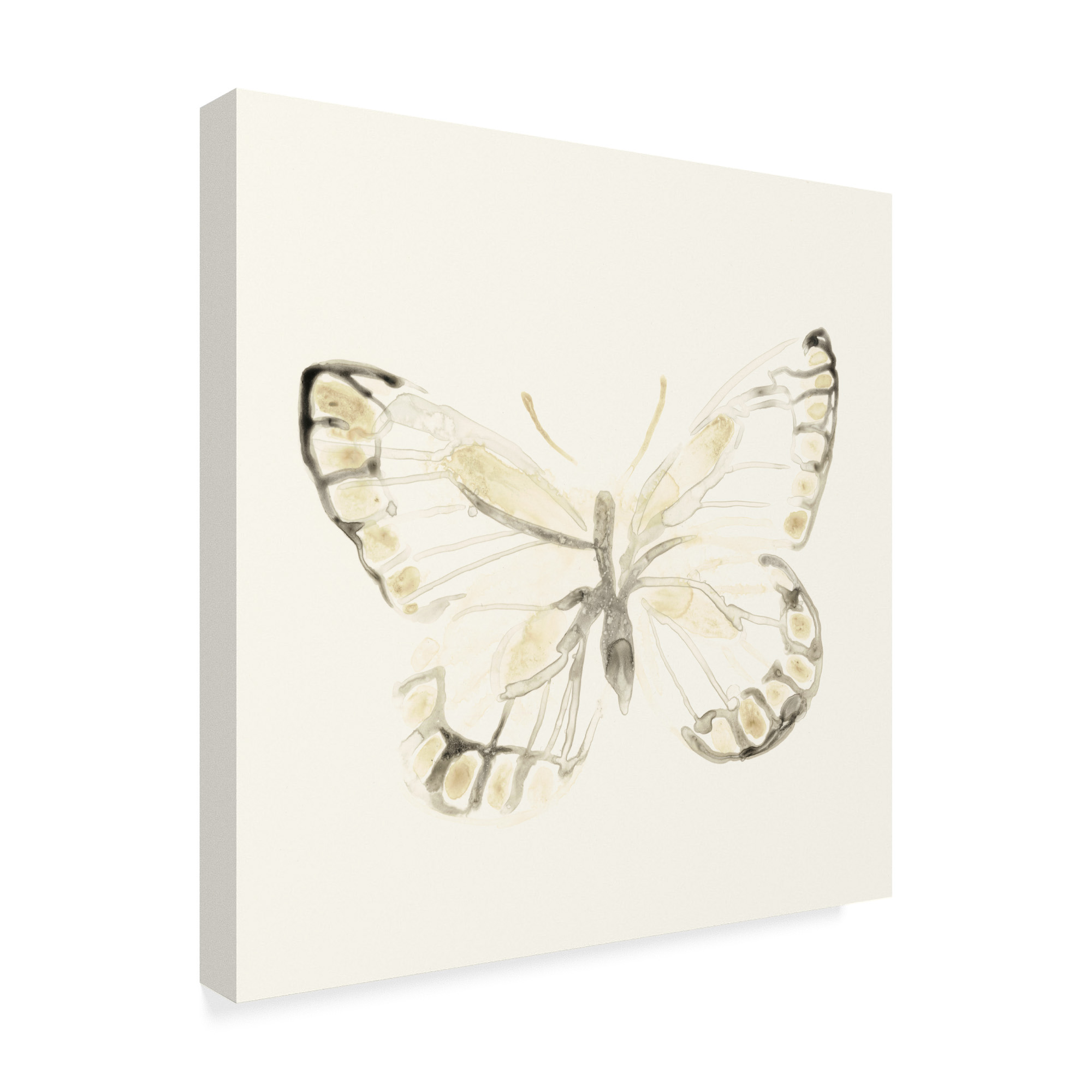 Trademark Fine Art 'Sepia Butterfly Impressions I' Canvas Art by June Erica Vess