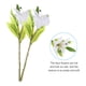 thumbnail image 4 of Uxcell Lirios Falsos, 6PCS Flores Artificiales de Lirio Flores Blancas Falsas en Jarrón para Decoración del Hogar, Blanco, Blanco 6, 4 of 5