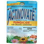 Actinovate L&G Contains A High Concentration Of A Patented Biological Fungicide