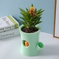 thumbnail image 5 of SPRING PARK Succulent Pot Cute Squirrel Water-saving Planter Bonsai Box Plant Bed Office Home Garden Pot Decoration, 5 of 7