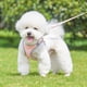 thumbnail image 4 of Arnés para perros, correa ajustable, chaleco para mascotas, arnés para cachorros, perros pequeños, gatos, malla reflectante, correa para el pecho para cachorros y gatos, accesorios para perros, 4 of 5