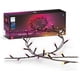 thumbnail image 1 of Luces de cadena Philips Hue Festavia 40 m 500 LED de colores, 1 of 7