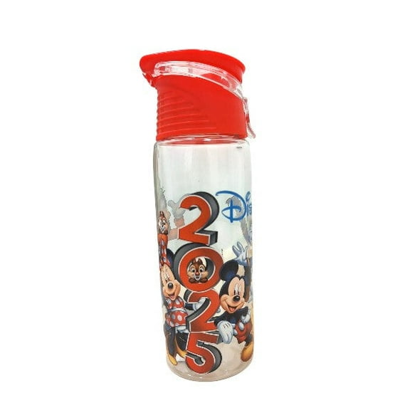 2025 Friends Disney Flip Top Bottle