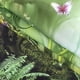 thumbnail image 4 of Tapiz de jungla verde de 150 x 130 cm, tapiz de pared de bosque, tapiz de cuento de hadas de fantasía para colgar en la pared para dormitorio de niños, sala de estar, dormitorio, decoración, 4 of 6