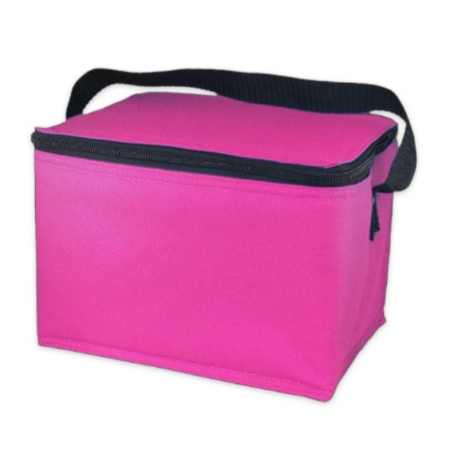 EasyLunchboxes Insulated Lunch Box Cooler Bag, Pink