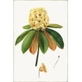 thumbnail image 2 of Jensen, Asia 23x32 Gold Ornate Wood Framed with Double Matting Museum Art Print Titled - New Botana III, 2 of 4
