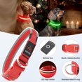 thumbnail image 4 of Collar LED para perro Flashseen, recargable por USB, color rojo rubí, 4 of 6