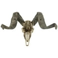 thumbnail image 2 of Design Toscano Corsican Ram Skull and Horns Wall Trophy, 2 of 7
