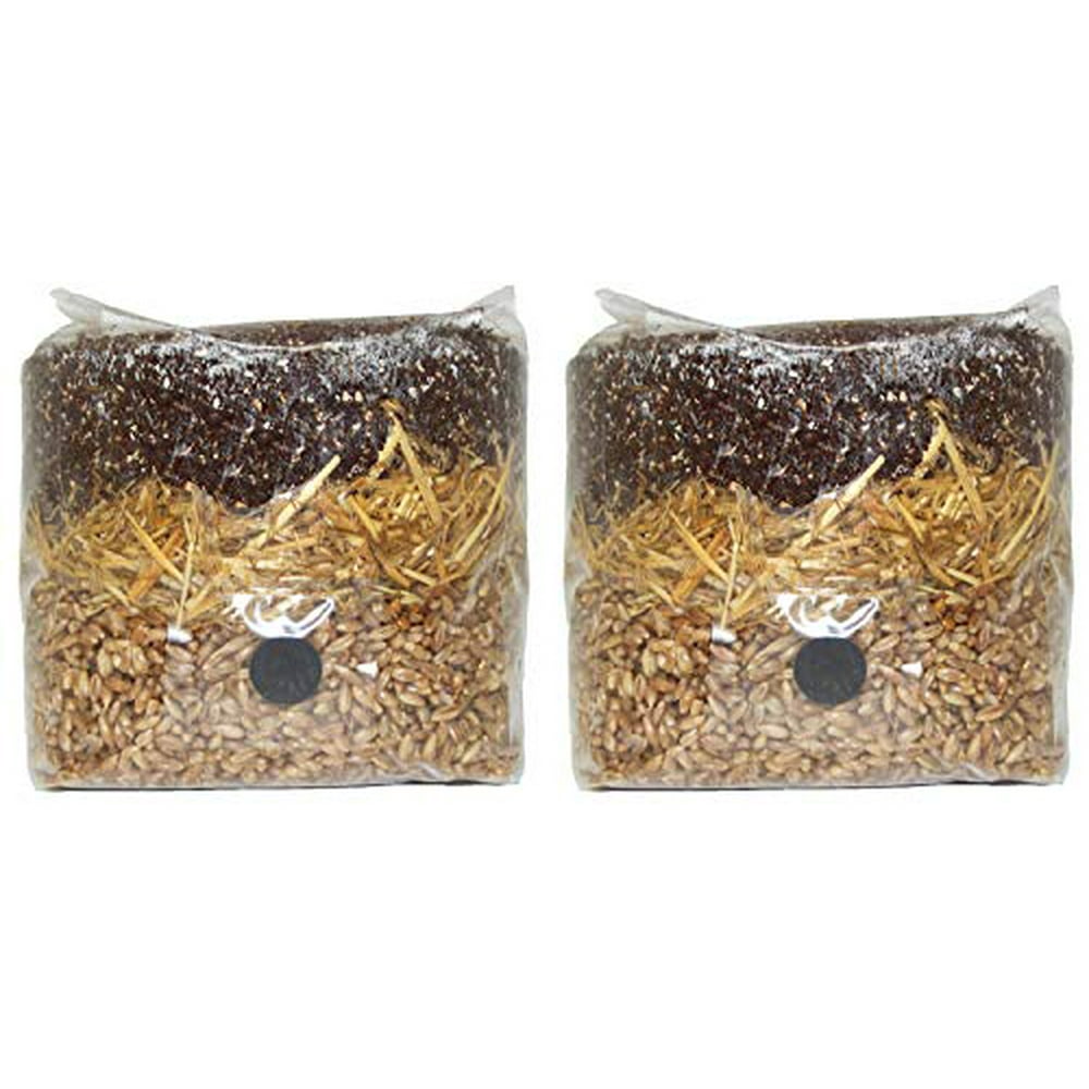 All in One Mushroom Grow Bag (2 Pack)