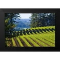 thumbnail image 2 of Crane, Rita 24x17 Black Modern Framed Museum Art Print Titled - Sunlit Vineyard I, 2 of 5
