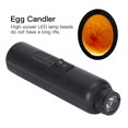 thumbnail image 1 of High  Dual Power Egg Candler Tester For Breeding Eggs - Cool LED Light, Mains Or Battery Powered, 1 of 8