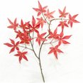 thumbnail image 2 of LCXmlly Exquisite Shape Maple Leaves Realistic Artificial Autumn Maple Leaf Plastic Vivid No Watering Arrangement Leaf, 2 of 8