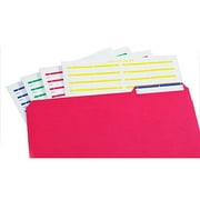 School Smart 1/3 Cut Printable File Fold