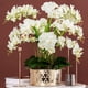 thumbnail image 5 of Flores artificiales de Phalaenopsis Hin-Oco con hojas, 5 unidades, blancas, 5 of 7