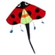thumbnail image 4 of Ladybug Delta Kite Fly Kite con cola Fácil de volar Manga de viento Enorme Envergadura Gigante de una sola línea para jardín Juguete Viajes familiares Baoblaze cometa triangulo, 4 of 8