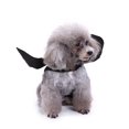 thumbnail image 4 of Clearance! Halloween Decorations! Pet Cat For Halloween Costume Decoration For Puppy Dog Cat Small Dogs Cats Halloween Party Buy 2 Get 3, 4 of 4