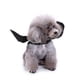 thumbnail image 4 of Clearance! Halloween Decorations! Pet Cat For Halloween Costume Decoration For Puppy Dog Cat Small Dogs Cats Halloween Party Buy 2 Get 3, 4 of 4