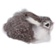 thumbnail image 2 of Conejito realista juguete de conejito Conejo de peluche realista Decoración navidea Animal Conejo suave Juguete de peluche Mascota Animales lindos animales de peluche y osos de peluche, 2 of 9