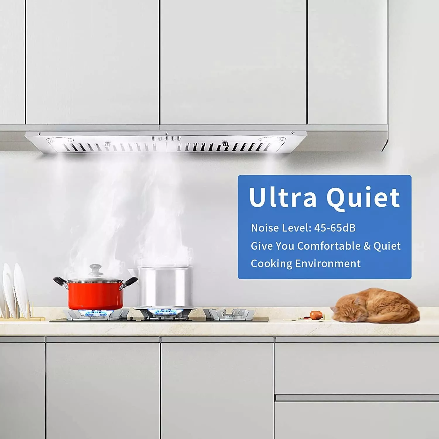 Range Hood 30 inch Insert Vent Hood 600 CFM Built-in Stainless Steel Range Hood Powerful Exhaust Vent Fan
