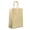 Gold, variant on IN-JOOYAA Multi Color Gift Bags Medium Kraft Paper Gift Bags with Handles 25 Pcs (Rainbow, 10.6 x 4.3 x 8.6 in)
