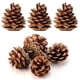 thumbnail image 1 of Paquete a granel de madera natural YEXPRESS de piña, paquete de 24, 1 of 8