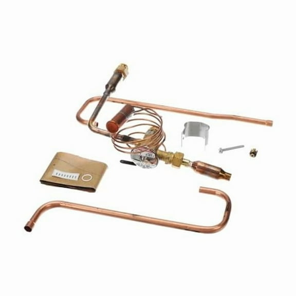 Rheem RXCT-DHB Genuine OEM Expansion Valve