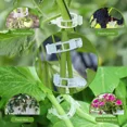 thumbnail image 6 of PURELY- 120 Pcs Plastic Plant Support Clips For Trellis Tomato Vine Stem Garden Use, 6 of 6