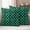 Dark Green, variant on Outdoor Pillow Covers Waterproof, Vintage Green Check Decorative Square Throw Pillowcases Patio Cushion Covers for Tent/Garden, 16" x 16" 2 Pack, Geometric Tartan Plaid Ethnic