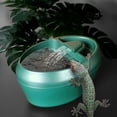 thumbnail image 2 of Bebedero para reptiles, gotero, dispensador de agua de seguridad para lagartos, 110 V, 2 of 8