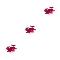 thumbnail image 4 of Wosthever Señuelos de pesca Aparejos Cebo Simulación PVC Mar Barco Pescado Señuelos Al aire libre Agua salada Barco Cebos Kit para Profesional Rojo Type1 NO1 Wosthever CBP264870, 4 of 6