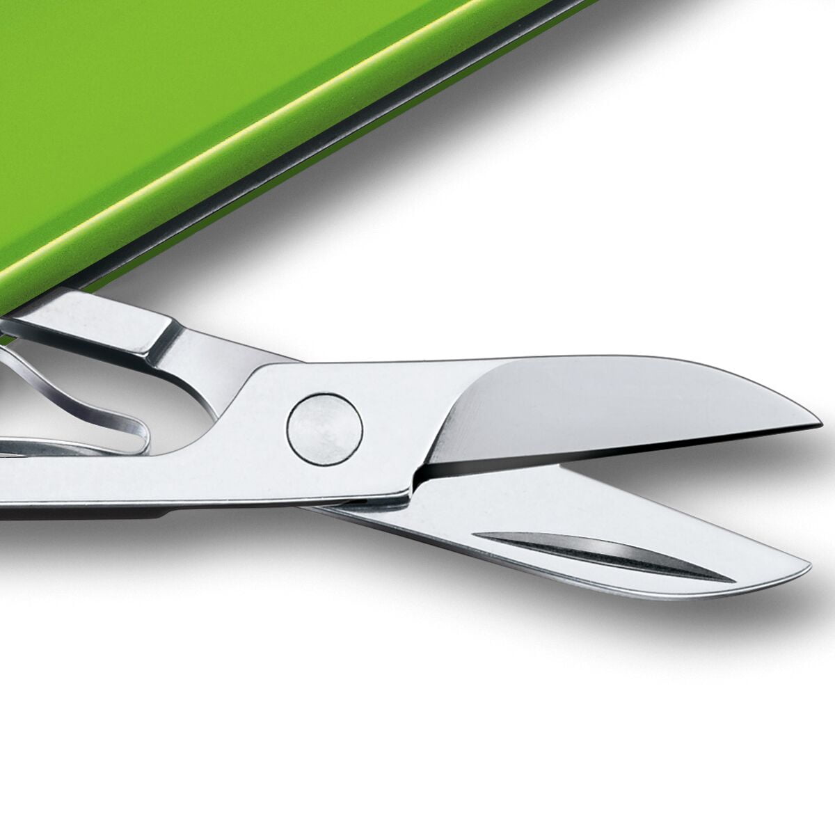 Victorinox Classic SD Swiss Army Knife, Compact, 7 Functions, Swiss Made Pocket Knife with Small Blade, Screwdriver and Key Ring - Green, Blister