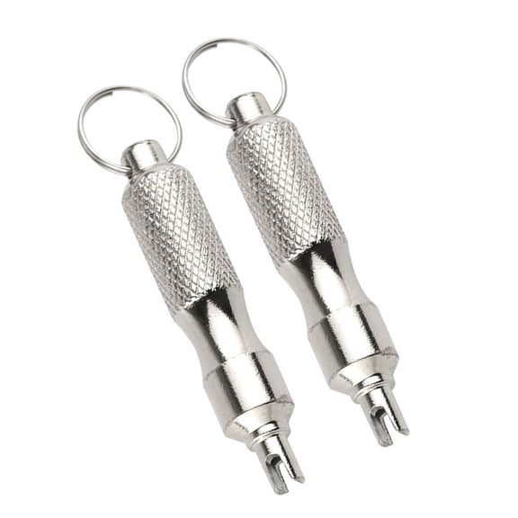 2Pcs Stainless Steels Tyre Valves Cores Remover Tool with Keyring Tire Valves Wrench Universals Tire Repair Screwdriver