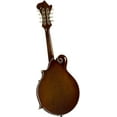 thumbnail image 2 of Kentucky KM-858 Artist F-model Mandolin Gold Top, 2 of 2