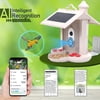 Andoer WIFI Smart Bird Feeder Camera 1080P Auto Capture Bird Video and Motion Detection Real-time Notification AI Identify Bird Species IP65 Waterproof 128G TF Cards