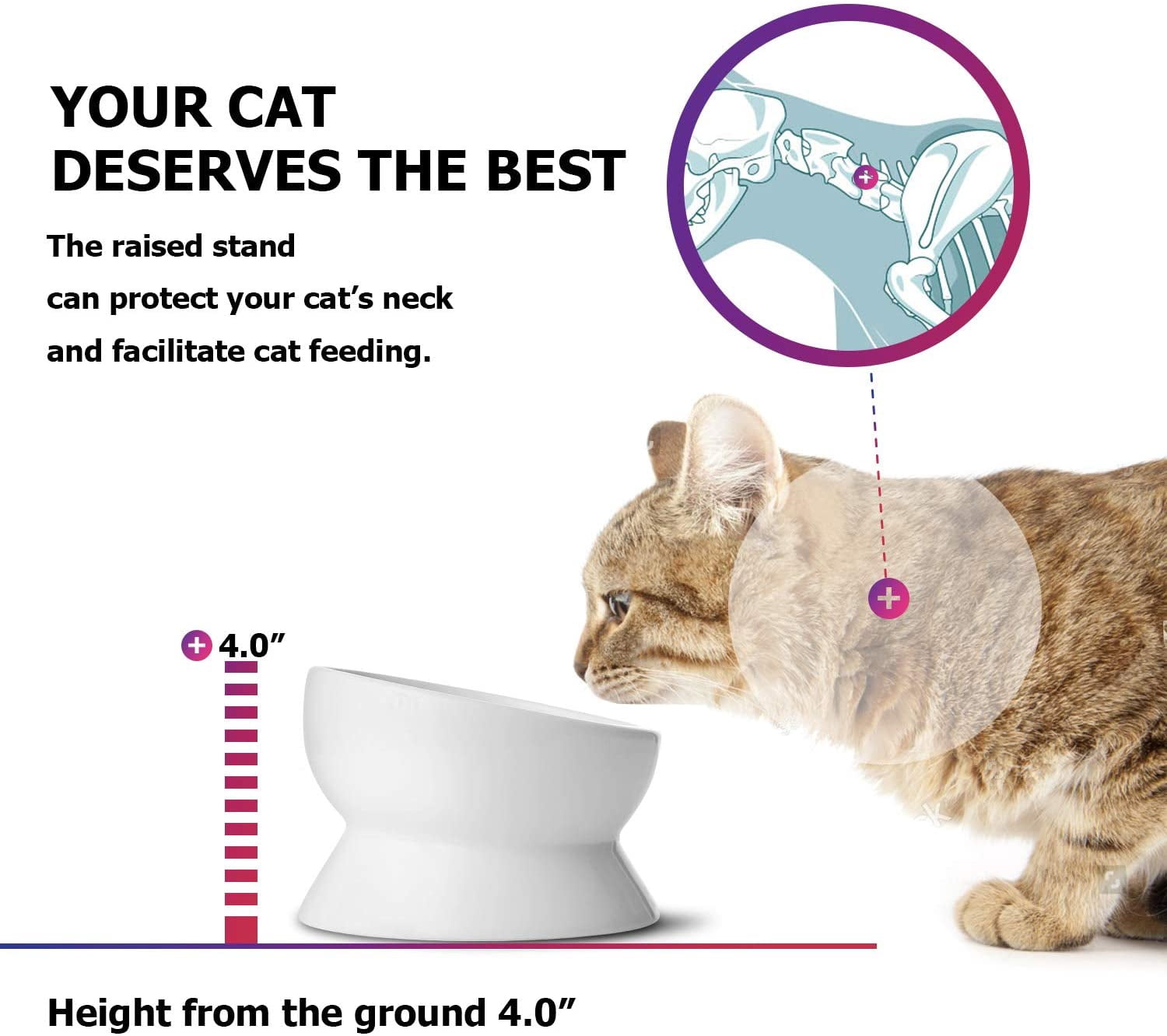 Elevated Cat Food Bowl, Raised Food and Water Bowl for Cat and Small Dog, Tilted Ceramic Water Bowls No Spill,15oz, Dishwasher Safe
