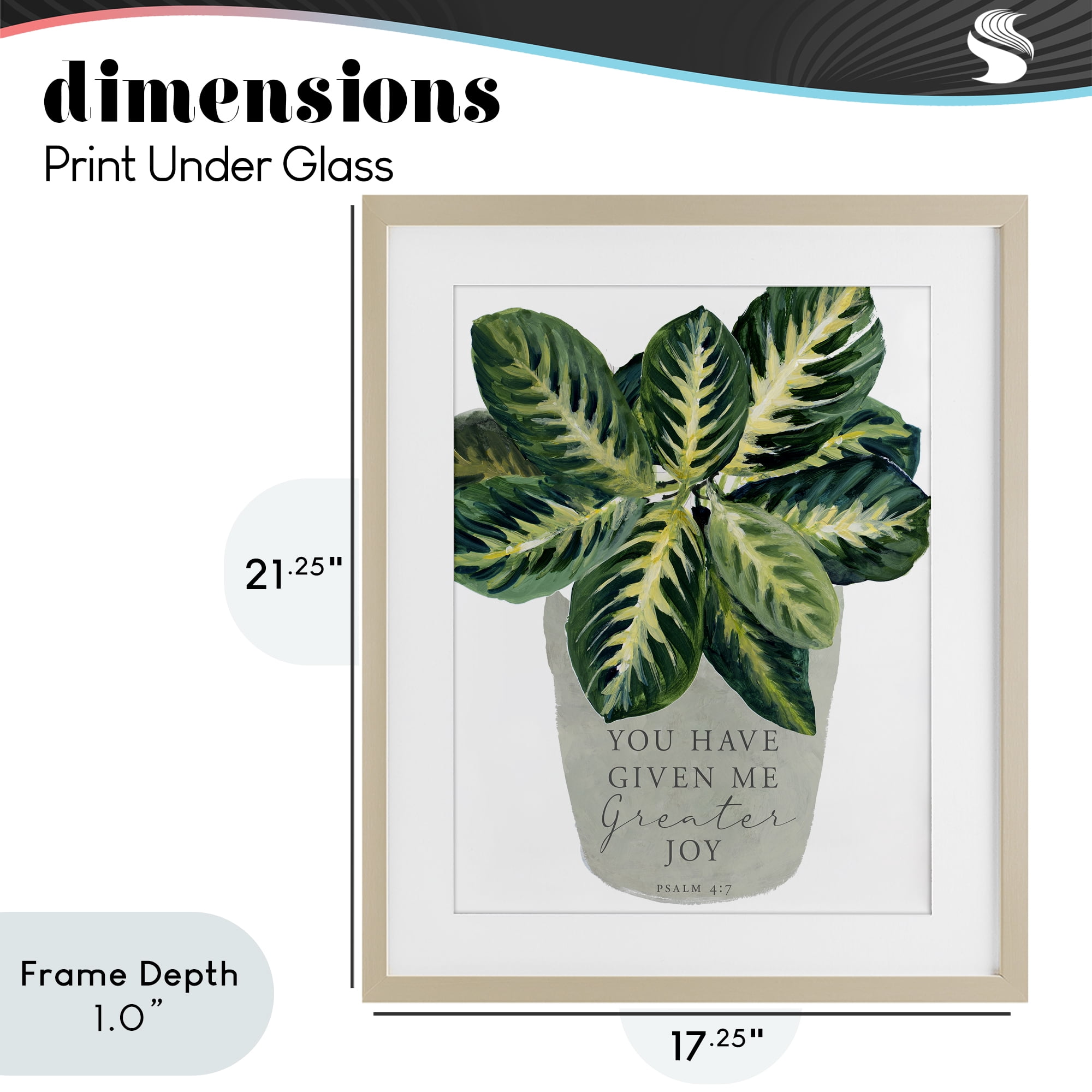 Stupell Industries Prayer & House Plant Birch Framed Print Under Glass, design by Lanie Loreth