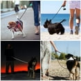 thumbnail image 2 of TiokMc 5FT Rope Dog Leash for Medium & Large Dogs up to 150lbs, Padded Handle, Reflective Threads, Durable Braided Nylon, Strong Metal Clasp Black, 2 of 7