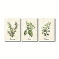 thumbnail image 3 of Set of 3 Kitchen Vintage Print, Antique Beige Kitchen Wall Art, Rustic Watercolor Botanical Herb Decor, Modern Cottagecore Farmhouse Posters, No Frame, 3 of 4