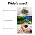 thumbnail image 3 of OULII 12Pcs Wood Micro Landscape Ornaments Miniature Fence Assorted Color Decoration for Succulent Micro Landscape, 3 of 5