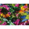 thumbnail image 4 of 300 PC Moss Butterfly Adult Jigsaw Puzzle, 4 of 5